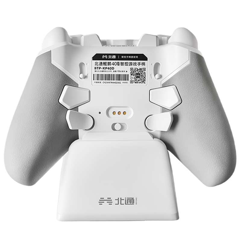 BEITONG Back Paddles (M2/M4) 3D-Printed for KunPeng 70